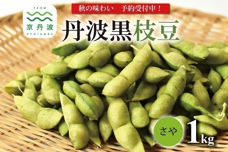 《 先行予約 》丹波黒枝豆 さや 1kg（京都 京丹波町産）【 枝豆 おつまみ 枝豆 黒豆 枝豆  黒枝豆 】 [008KK001L]