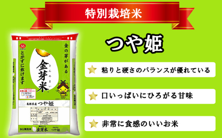 BG無洗米・金芽米つや姫 5kg×3回 定期便【隔月】 ［令和5年産］計量カップ無し