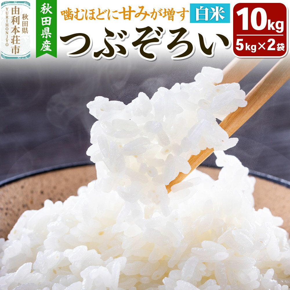 【ふるさと納税】【白米】秋田県由利本荘市産 つぶぞろい 10kg（5kg×2袋）令和7年産