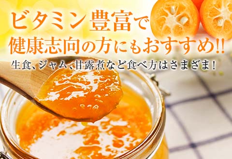 食べ応え抜群 大玉 きんかん 計2kg以上 傷み補償分付き 数量限定 期間限定 フルーツ 果物 くだもの 柑橘 金柑 先行予約 国産 希少 人気 おすすめ ジャム おやつ デザート 小分け おすそ分け