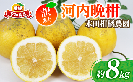 訳あり 河内晩柑 約 8kg 木田柑橘農園 晩柑 かわちばんかん 和製 グレープフルーツ 訳アリ 訳あり品 愛媛みかん 愛媛蜜柑 愛媛県産みかん 蜜柑 みかん mikan 爽やか さっぱり フレッシュ 果物 くだもの フルーツ 柑橘 数量限定 産地直送 国産 愛媛 宇和島 B010-185007