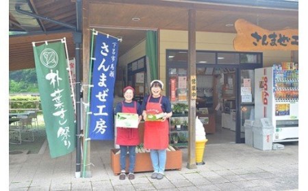 予約受付【初夏の味 期間限定】（2025年6月頃から順次発送）さんまぜ工房「朴葉寿司」10個セット ほおば 朴葉 ホオバ【24-2】