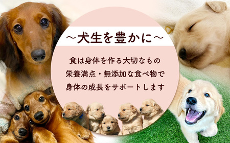 ＜小分け＞犬用おやつ かぼちゃチキン (15g×14袋・計210g) ふるさと納税 福知山市 国産 京都府産 無添加 鶏肉 むね肉 かぼちゃ ドッグフード ペットフード 愛犬 手作り 福知山 丹波 【
