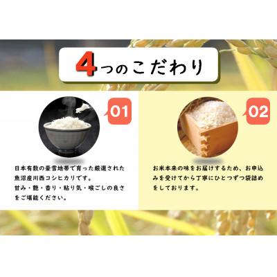 ふるさと納税 十日町市 【毎月定期便】【無洗米】新潟県魚沼産 川西コシヒカリ 2合(300g)×10袋入(計3kg)全3回 |  | 01