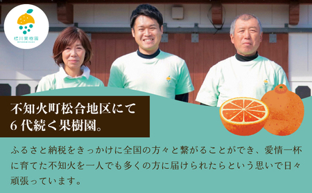 雑誌「MORE」掲載商品 不知火 訳あり品 9kg 【松川果樹園】【2025年3月上旬から4月下旬発送予定】しらぬい 柑橘