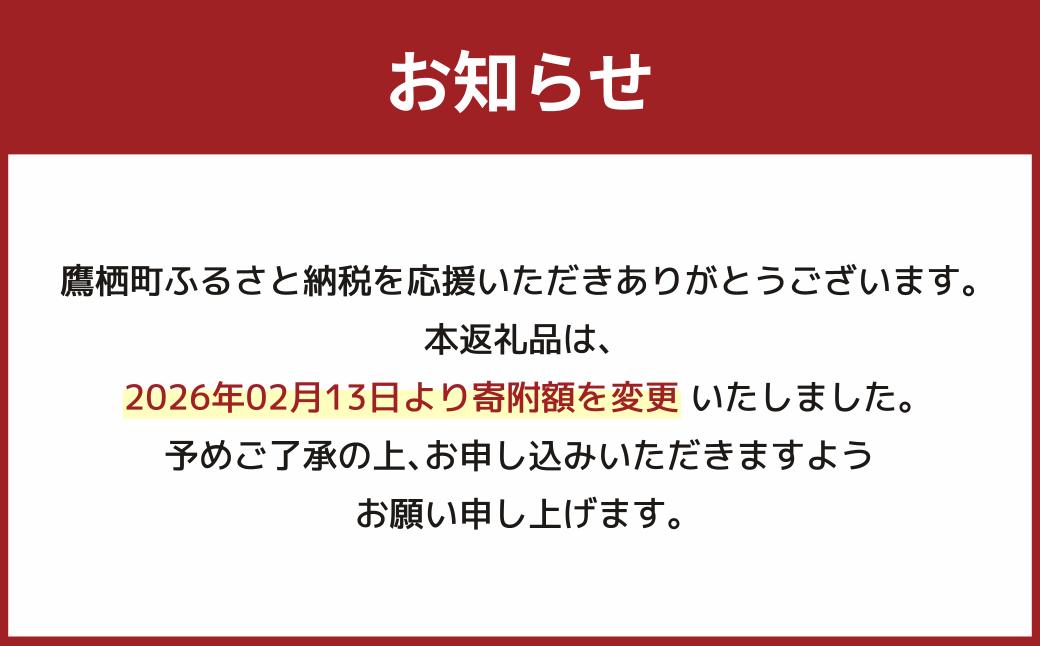 【 令和7年産 】 ななつぼし （ 精白米 ）北海道 米 定番の品種 真空パック 5kg×4袋 20kg