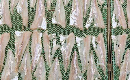 マルヒ母さんの美味いっタラ！フライ ＜イタリアンバジル味＞10個(60g×5個入 2箱) 北海道 鱈 タラ たらフライ タラフライ おかず お弁当 簡単 簡単調理 魚 たら フライ 白身 惣菜 揚げ物