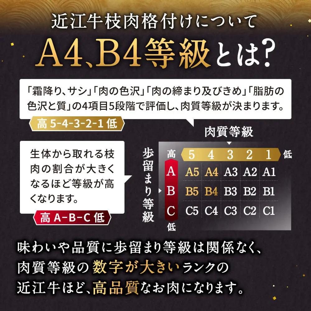 近江牛 カルビ 切り落とし 500g 株式会社びわこフード 滋賀県 東近江市 A-E32 近江牛 焼肉 すき焼き 牛丼 肉じゃが 500g A4 A5 霜降り 和牛 高級 国産 ブランド牛 