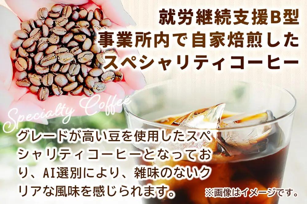 自家焙煎珈琲 水出しアイスコーヒー 12パック AI選別 就労継続支援B型事業 秋田市