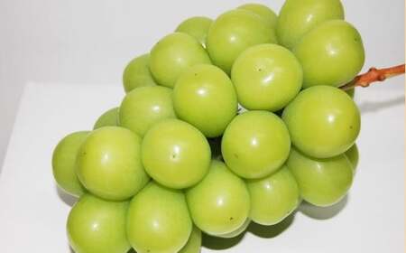 【露地栽培】つる付きニューピオーネ2房（1房580ｇ以上）つる付きシャインマスカット（晴王）1房（1房580ｇ以上）【2025年9月上旬-10月下旬 発送予定】【シャインマスカット シャイン マスカッ