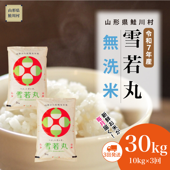 ＜令和7年産米＞ 雪若丸 【無洗米】30kg定期便 (10kg×3回)　《配送時期指定可》