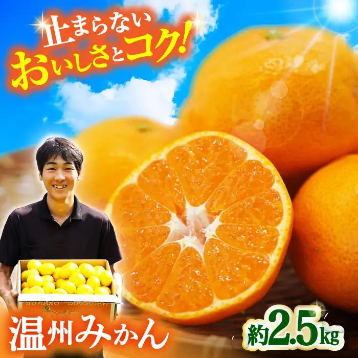 みかん 約2.5kg 温州 みかん  [ACAI001]