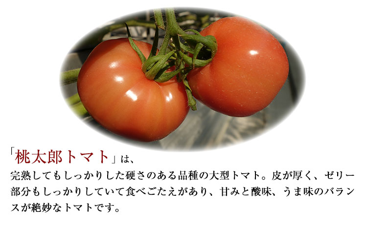 超絶トマットロケチャップ(200g×4個) 《45日以内に出荷予定(土日祝除く)》 四ツ山食品