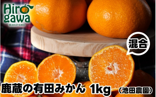 鹿蔵の 有田 みかん 訳あり 1kg 光センサー 選果 / 温州みかん 有田みかん 甘い 家庭用 和歌山 柑橘 ※11月順次発送予定 ※北海道・沖縄・離島への配送不可【ikd004-cm-1-nov】
