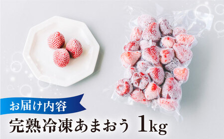 【先行予約受付中・2024年3月より順次発送】完熟冷凍あまおう 1kg 糸島市 / slowberry strawberry[APJ006] いちご 苺 イチゴ あまおう 果物 フルーツ ストロベリー
