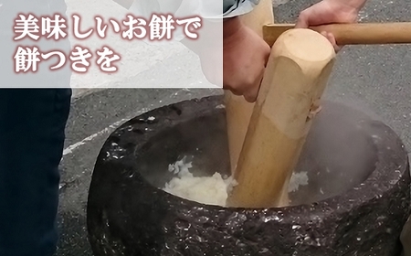 【令和7年産】もち米 4kg  精米 熊本県 南関町産 産地直送 餅 赤飯 おこわ