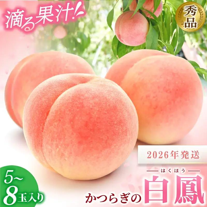 桃 白桃  5～8玉入り 【秀品】【S96009-mtgn053A】