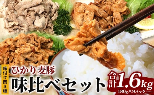 
            鹿児島県産 ひかり麦豚 味比べセット ≪味付け肉≫ 計1.6kg （180g×9パック）みそ 塩だれ ニンニク醤油  トレーなし 冷凍 HM-4 | 肉 お肉 にく 豚肉 味噌味 塩ダレ 解凍して焼くだけ 真空冷凍 新鮮 小分け おかず 産地直送 鹿児島県 南大隅町 ひかり麦豚直売所
          