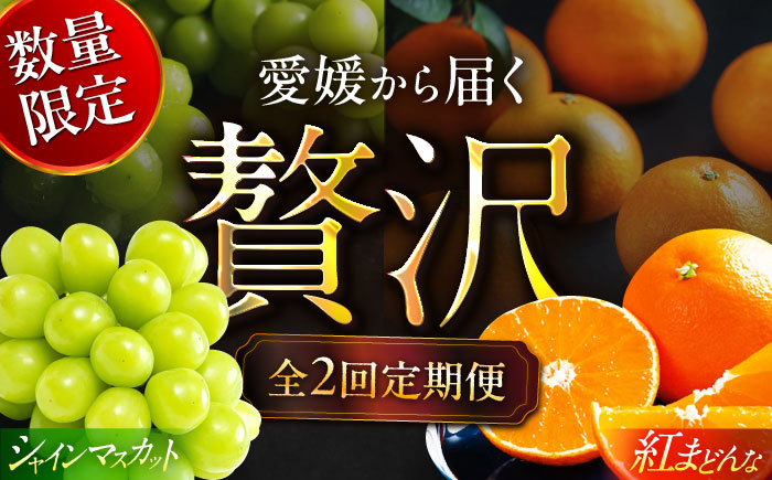 【全2回定期便】【数量限定】シャインマスカット＆紅まどんな 愛媛が誇るフルーツ2種の贅沢定期便 マスカット ぶどう まどんな みかん 果物 愛媛県大洲市/愛媛たいき農業協同組合[AGAO015]