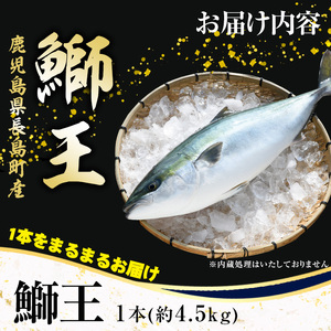 【12月27日発送予定】ぶりの王様「 鰤王 」 まるごと 1本 (約4.5kg) 産地直送 新鮮 旨味が抜群の 長島町 特産品 ブランド ぶり 鰤 ブリ 切り身 真空 冷蔵 刺身 ぶりしゃぶ しゃぶし