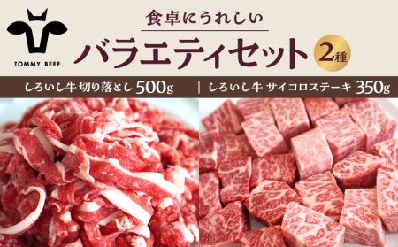 食卓バラエティセット（切り落とし 500g＆サイコロステーキ 350g）/ 牛肉 お肉 肉 切り落とし ステーキ 詰め合わせ 九州 [IAH195]