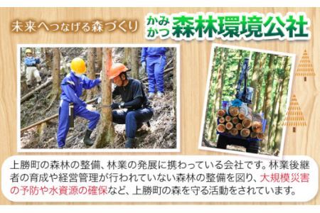  おどうぐばこ 木工 キット 1セット 一般社団法人かみかつ森林環境公社 《30日以内に出荷予定(土日祝除く)》  木工 キット 工作 キット 徳島県杉 道具箱 小学生 子ども 夏休み 宿題 課題 家