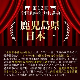 4等級以上 鹿児島県産 黒毛和牛サーロインスライス 計800g (200g×4P) b0-163-C