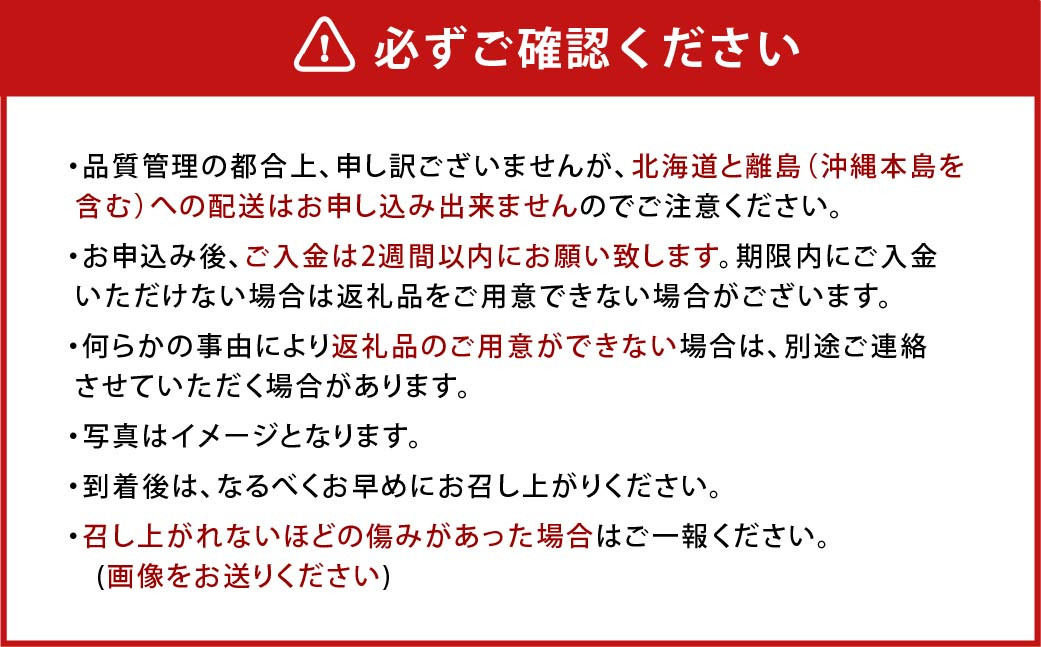 【アフター保証】あまおう大福セット