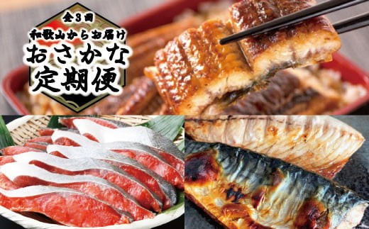 【3回定期便】【毎月お届け】和歌山からお届け おさかな定期便　サバ・ウナギ・サケ【tkb131】