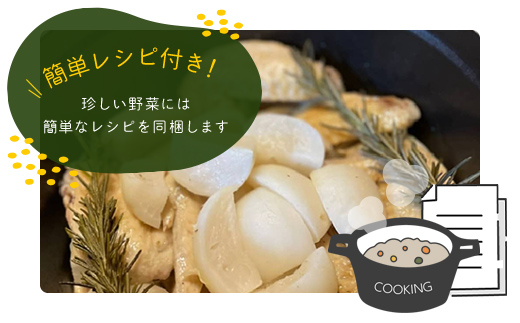 【6ヶ月 定期便】農家直送！【栽培期間中農薬不使用】季節の新鮮野菜「９品」詰め合わせセット オーガニックファーム AIBA FARM TML003 / 野菜セット 無農薬 野菜 千葉県 富里市 直送野