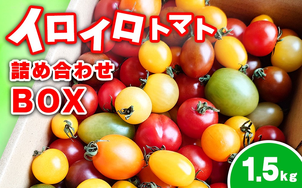 イロイロトマト詰め合わせBOX 1.5kg ※2026年11月～発送