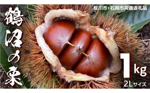 
                  鶴沼 の 栗 1kg (桜川市・石岡市共通返礼品) 和栗 国産栗 くり 栗 生栗 先行予約 2026年9月上旬発送開始 オーガニック肥料 果じゅまる園 [DQ001sa]
                