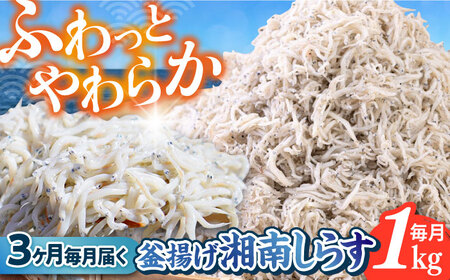 【全3回定期便】釜揚げ 湘南しらす 1kg【平敏丸】 [AKEZ011]
