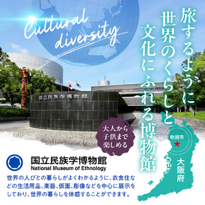 国立民族学博物館 本館展示招待券 2枚 【大阪府吹田市】家族 ミュージアム 博物館 美術館