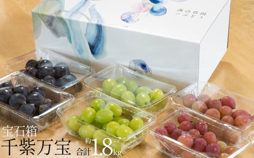 【2025年先行予約】ぶどう特選切出し粒「宝石箱・千紫万宝」 | 送料無料 栃木県 下野市 ぶどう 葡萄 白ぶどう 赤ぶどう 黒ぶどう ブラックビート クイーンニーナ シャインマスカット 果物 フルーツ デザート