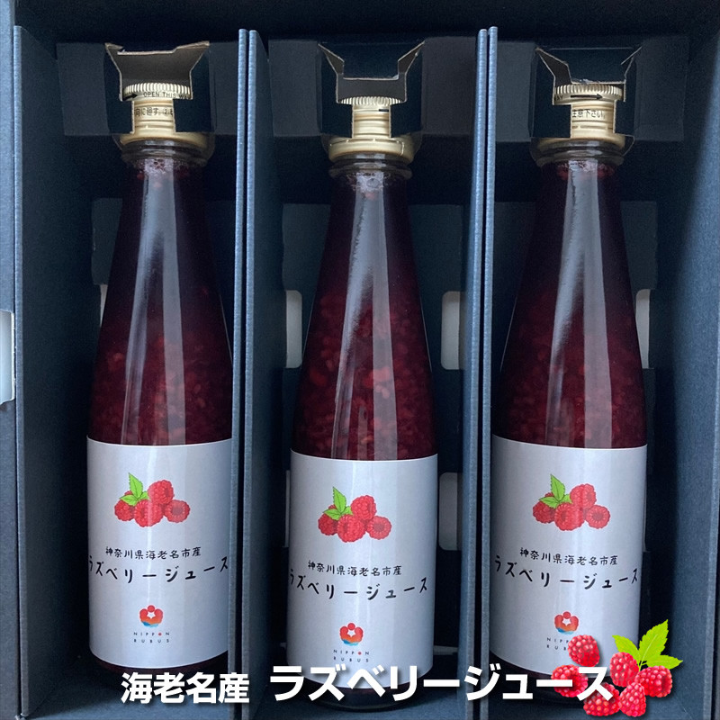 
            海老名産ラズベリージュース 200g 3瓶 【 飲み物 ラズベリー ジュース 神奈川県 海老名市 】
          