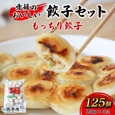 ふるさと納税 西予市 <愛媛のおいしい餃子セット もっちり餃子 125個(25個×5袋)国産 本格