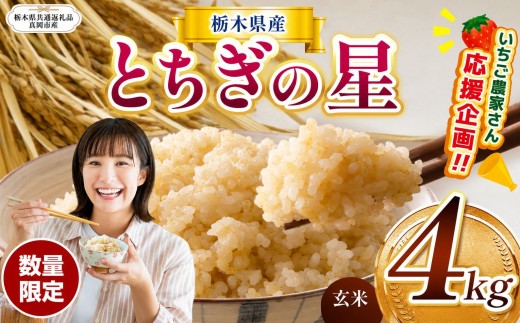 訳あり 数量 限定 令和8年度産 とちぎの星 約 4kg| とちぎの星 ミルキークイーン 米 okome kome お米 ご飯  玄米 白米 ごはん おいしい  ふるさと納税 栃木県 那珂川町 送料無料【栃木県共通返礼品】