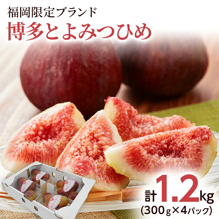 【ふるさと納税】いちじく 博多とよみつひめ 300g×4パック いちじく イチジク 無花果 計1.2kg 福岡限定 フルーツ 果物 とよみつひめ 九州 福岡 ジューシー 糖度が高い スムージー フレッシュ 福岡県産【2026年7月下旬以降順次発送予定】