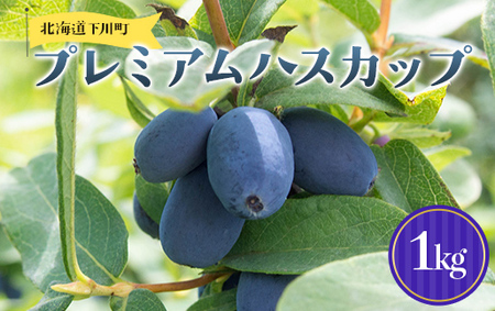 及川農園 プレミアムハスカップ 1kg F4G-0342