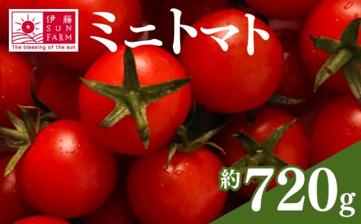 【 訳あり 】【 先行予約 】 ミニトマト 約 720g トマト プチトマト 小分け 甘い 野菜 やさい サラダ フルーツ 新鮮 旬 ジューシー 濃厚 人気 おすすめ お弁当 期間限定 数量限定 送料無料 産地直送 千葉県 旭市 伊藤SUN FARM isf002