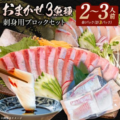 ふるさと納税 延岡市 おまかせ3魚種 刺身用ブロックセット 計3パック(2〜3人前)