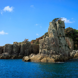 足摺地区 集落歩きツアー 2人分 観光 地元ガイド付き チケット あしずり岬 足摺半島 漁港 伊佐漁港 家族旅行 旅行 国内旅行 自然 神社 文化 徒歩 高知県 高知 土佐清水市 足摺岬【R01503