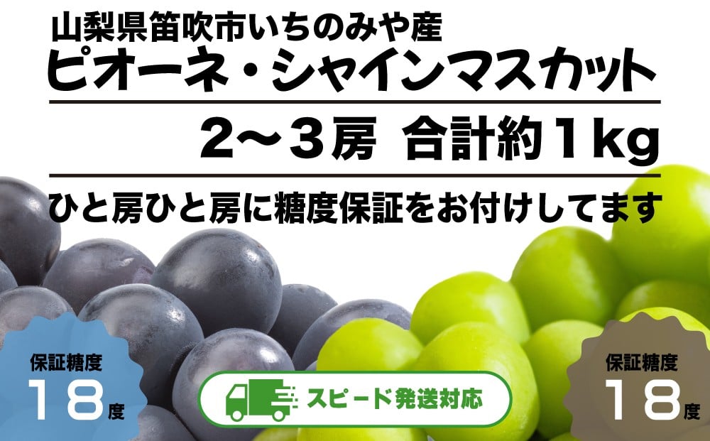 
                  2026年発送【全房糖度保証付】ピオーネとシャインマスカット食べ比べ 合計約1kg 2～3房【数量限定】日テレ「ZIP!」TBS「ひるおび」にて紹介！美味しいフルーツだけをお届け【ルッチ Rucci】産地直送 山梨県 笛吹市 果物 葡萄 ぶどう 黒ブドウ 黒系 贈答 人気 ギフト テレビで紹介 2026年 令和8年 先行予約 104-050
                