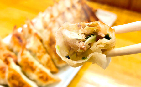 【王道！にんにく派×2パック】選べる餃子2種セット！【餃子屋ヒロ】開成町 餃子&nbsp;点心 惣菜 冷凍[BDAS008-3]