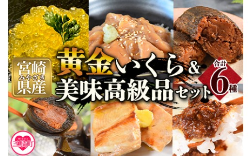 
                  【先行予約】＜黄金イクラと美味高級品セット＞(6種)黄金イクラやヤマメなどを詰め合せ！国産 九州産 宮崎 いくら 魚卵 やまめ  やまめ漬け 甘露煮 こんぶ フィレ 味噌 みそ おかず 水産物 詰め合わせ 敬老の日 ギフト のし テレビ 紹介 テレビで話題 テレビ放送後 メディア掲載 今話題の 黄金いくら【B-0205-sk】【有限会社しゃくなげの森】
                