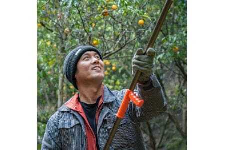 【大阪能勢産】 ゆずシロップ 3本セット