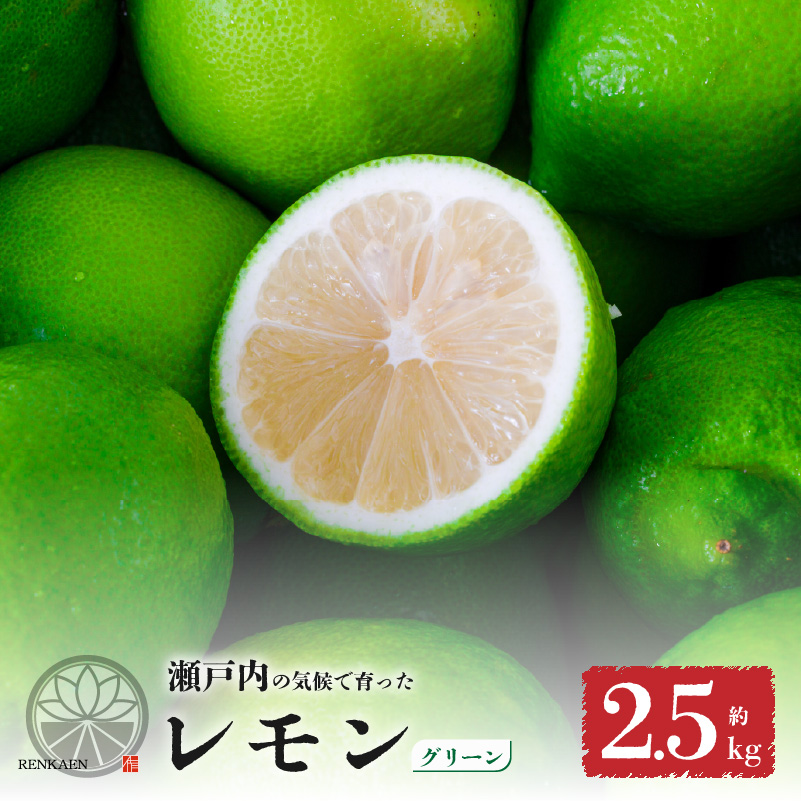 【先行予約】 【9月下旬から発送】 家庭用 グリーンレモン 約2.5kg 防腐剤 ワックス 不使用｜ 訳あり レモン 檸檬 完熟 柑橘 酸味 国産 愛媛県産 訳あり 新鮮 愛媛 松山