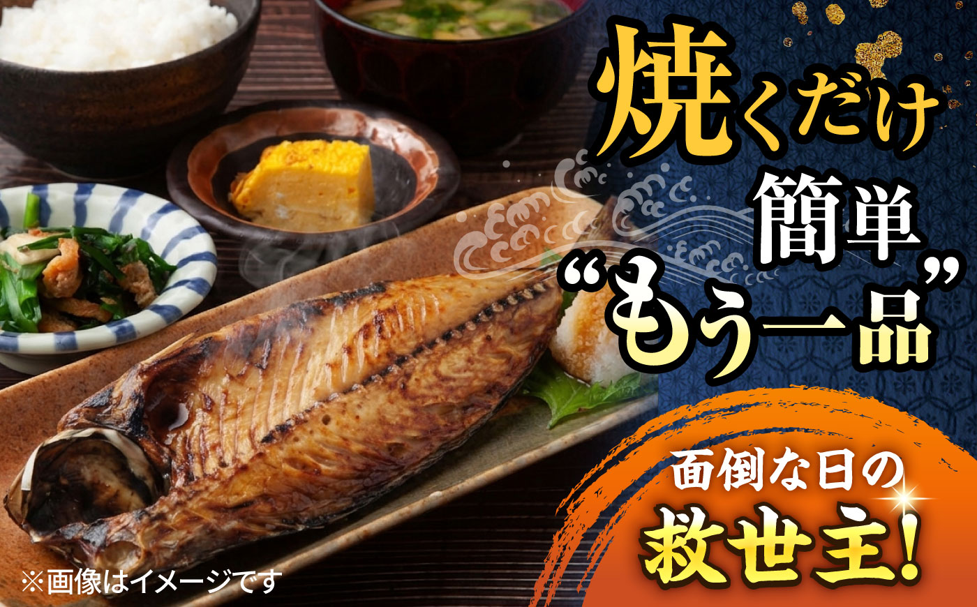 【訳あり】漁師町佐島 サバ 干物 約2.0kg（15枚前後）【石川水産】 [AKCX018]