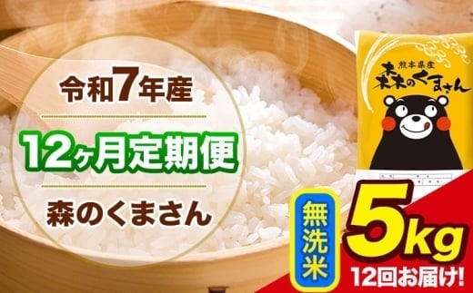 
             令和7年産 森のくまさん 【12ヶ月定期便】 無洗米 《お申込み翌月から出荷》 5kg (5kg×1袋) 計12回お届け 熊本県産 単一原料米 森くま 熊本県 玉東町
          